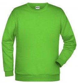 James & Nicholson JN794 Men's promo sweatshirt