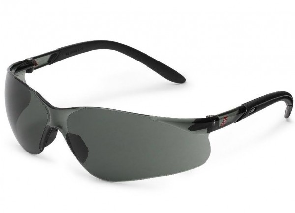 Nitras 9011 Vision Protect goggles gray