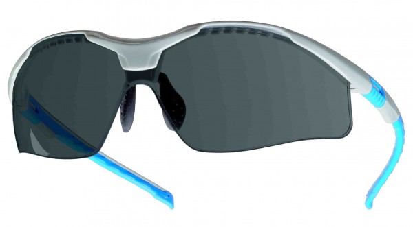 Tector Tour 41976 Safety glasses grey